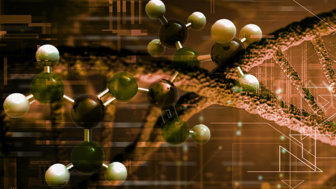 DNA_Metformin_V8-o